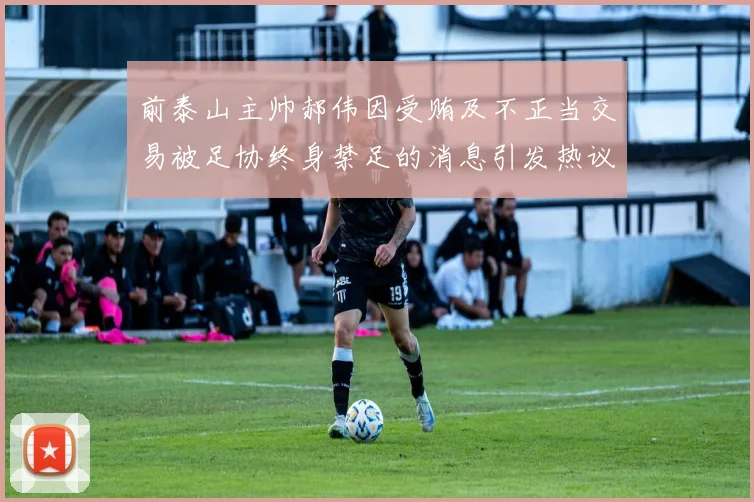 前泰山主帅郝伟因受贿及不正当交易被足协终身禁足的消息引发热议